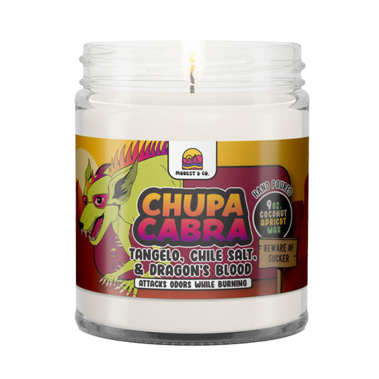 Modest & Co. Odor Fighting Candles